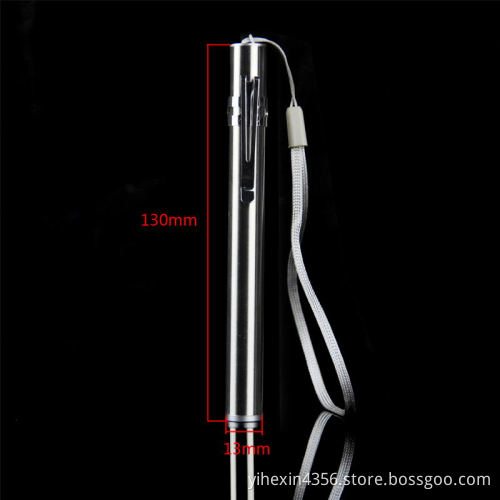 Boruit EFL0861 Stainless Steel Mini USB Pen Light